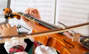 Violin