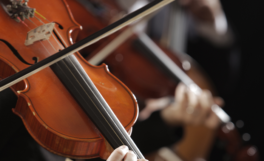 Violin M