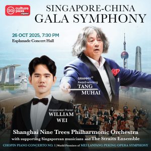 China–Singapore Gala Symphony: A Transnational Celebration of Culture and Music